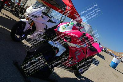 media/Nov-12-2023-Classic Track Days (Sun) [[11f17acb81]]/Around the Pits/